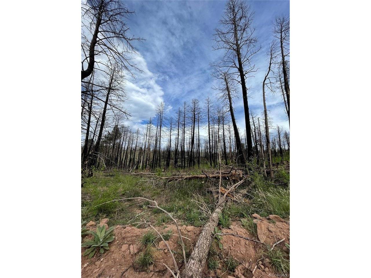 Fort Garland, CO 81133,986 Levy