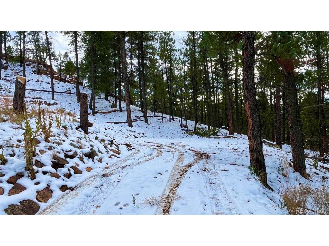 Woodland Park, CO 80863,15126 N Pine Lake