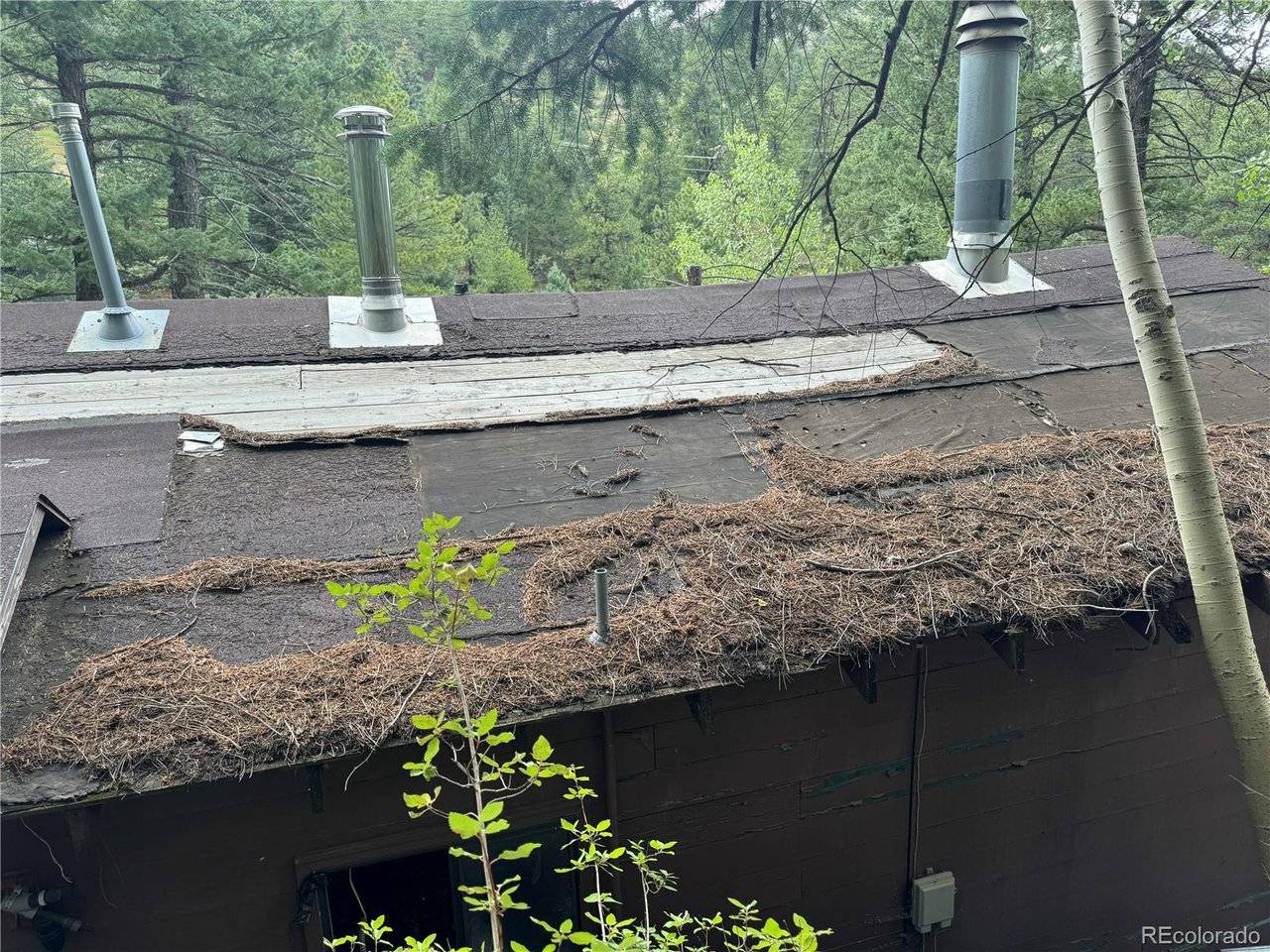 Golden, CO 80403,10762 Twin Spruce