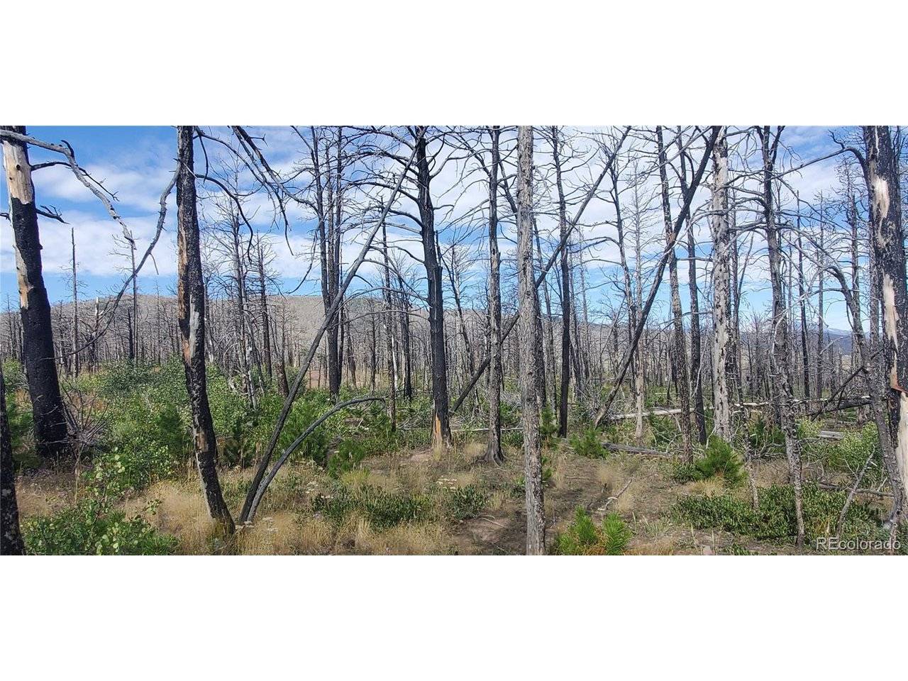 Fort Garland, CO 81133,2298 Sigler