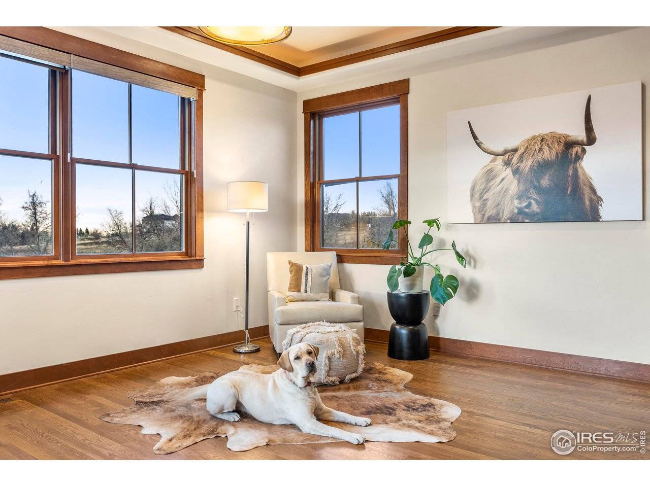 Boulder, CO 80303,895 Paragon