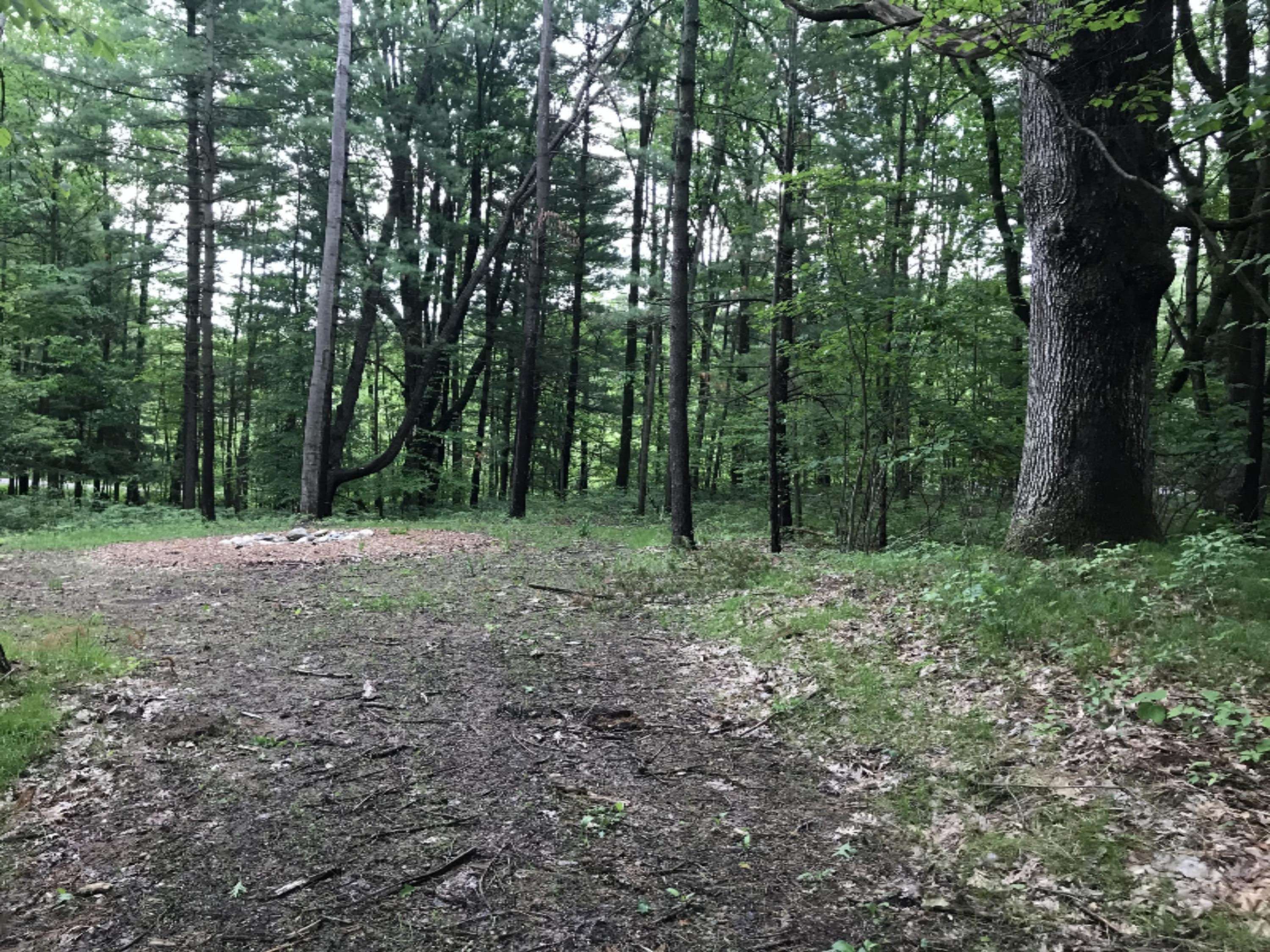 Lakeview, MI 48850,0 Hickory Drive
