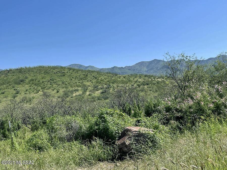 Rio Rico, AZ 85648,TBD Tejano Springs Rd  #79