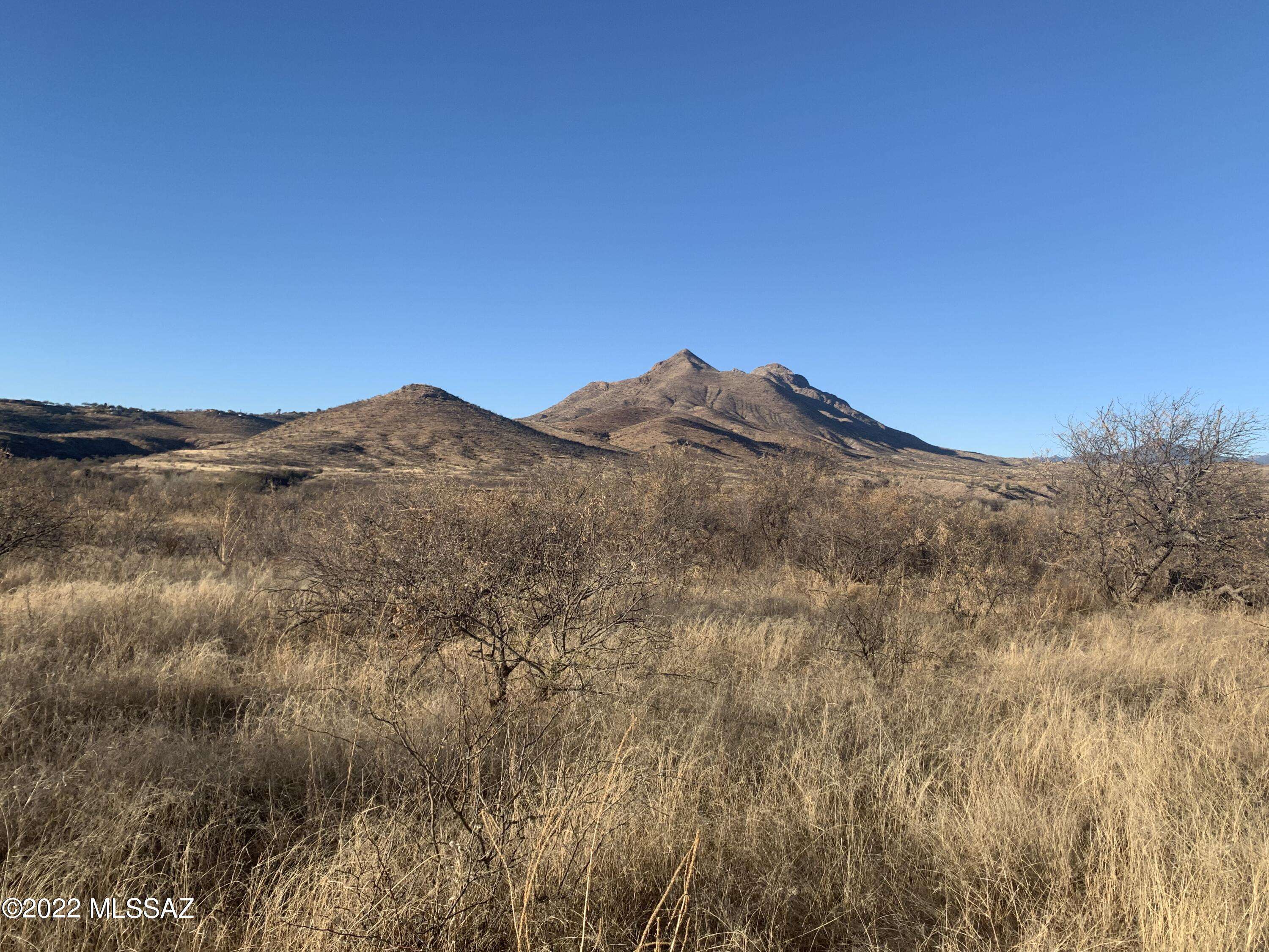 Rio Rico, AZ 85648,102 Circulo Penjamo  #11