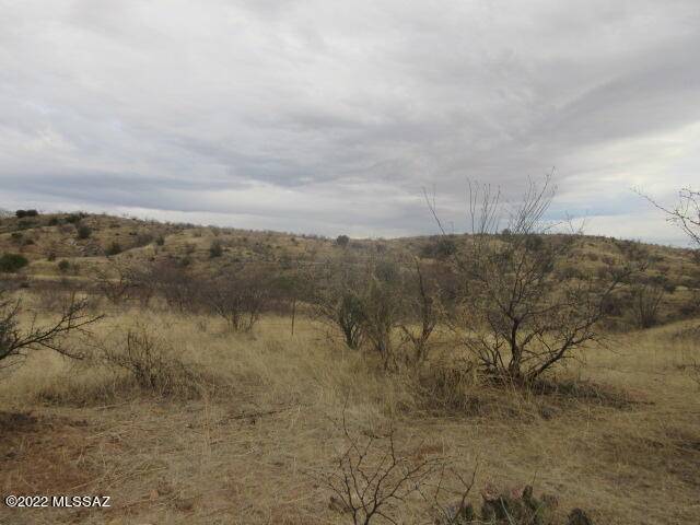 Rio Rico, AZ 85648,TBD Camino Brizza Bonel  #40A