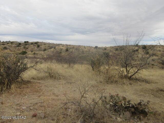 Rio Rico, AZ 85648,TBD Camino Brizza Bonel  #40A