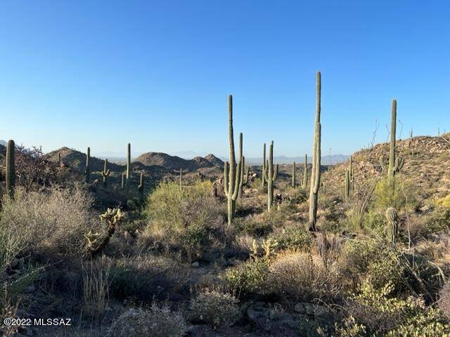 Marana, AZ 85658,14168 N Old Ranch House Rd.  #Lot 40