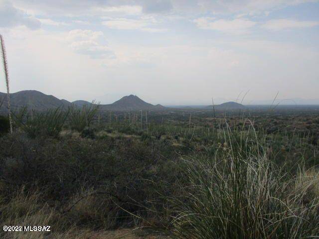 Tucson, AZ 85736,18655 S Sierrita Mountain Road