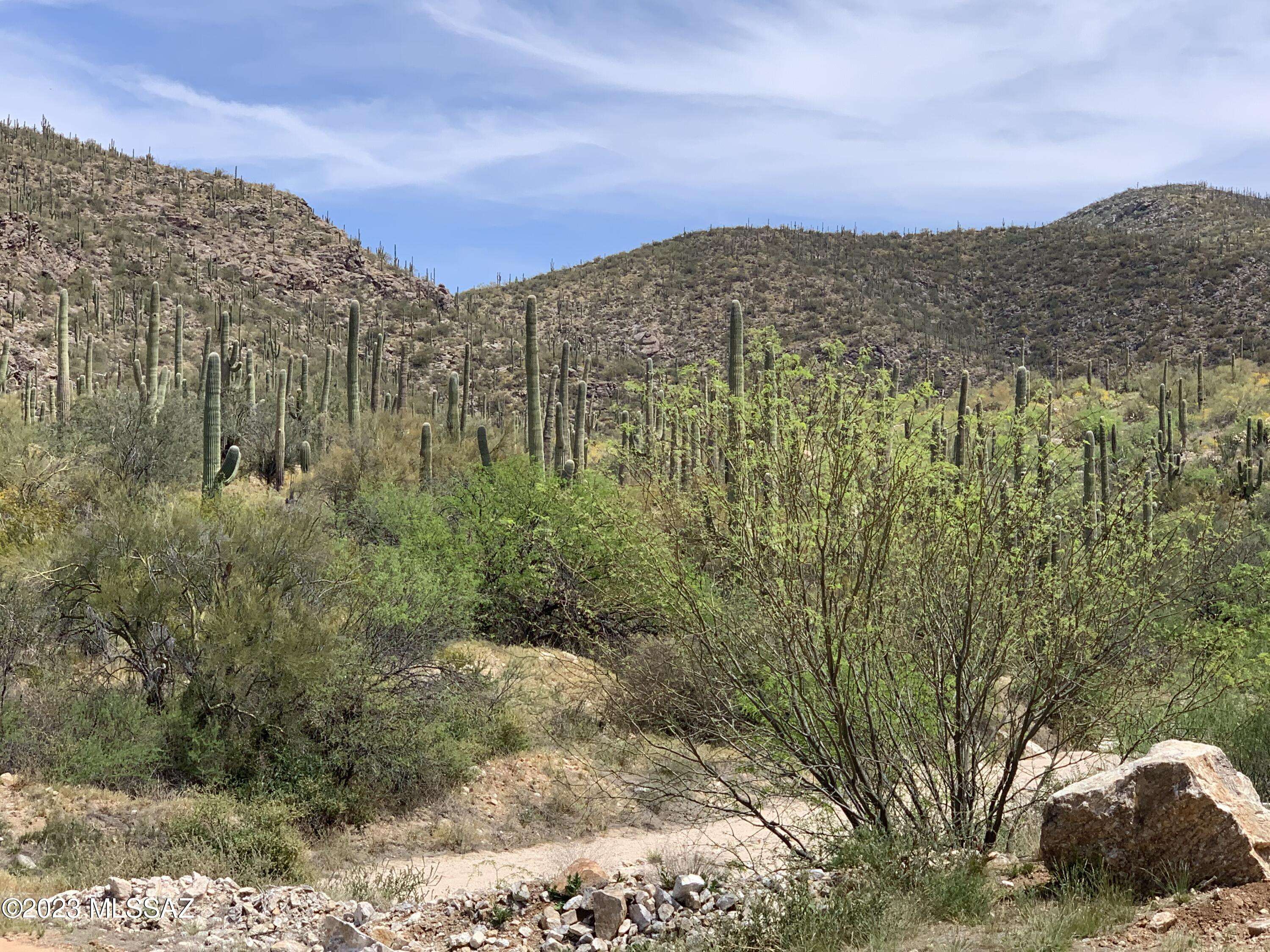 Marana, AZ 85653,E Westridge Road