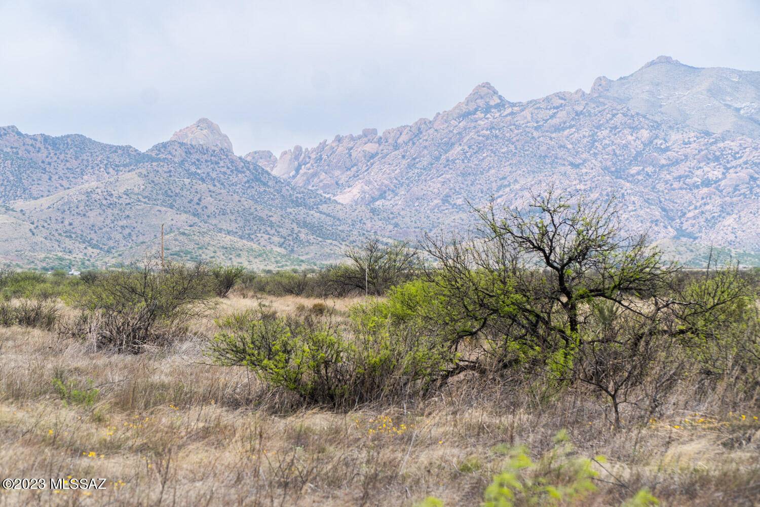 Pearce, AZ 85625,0.83 Acres Quinn Rd  #4