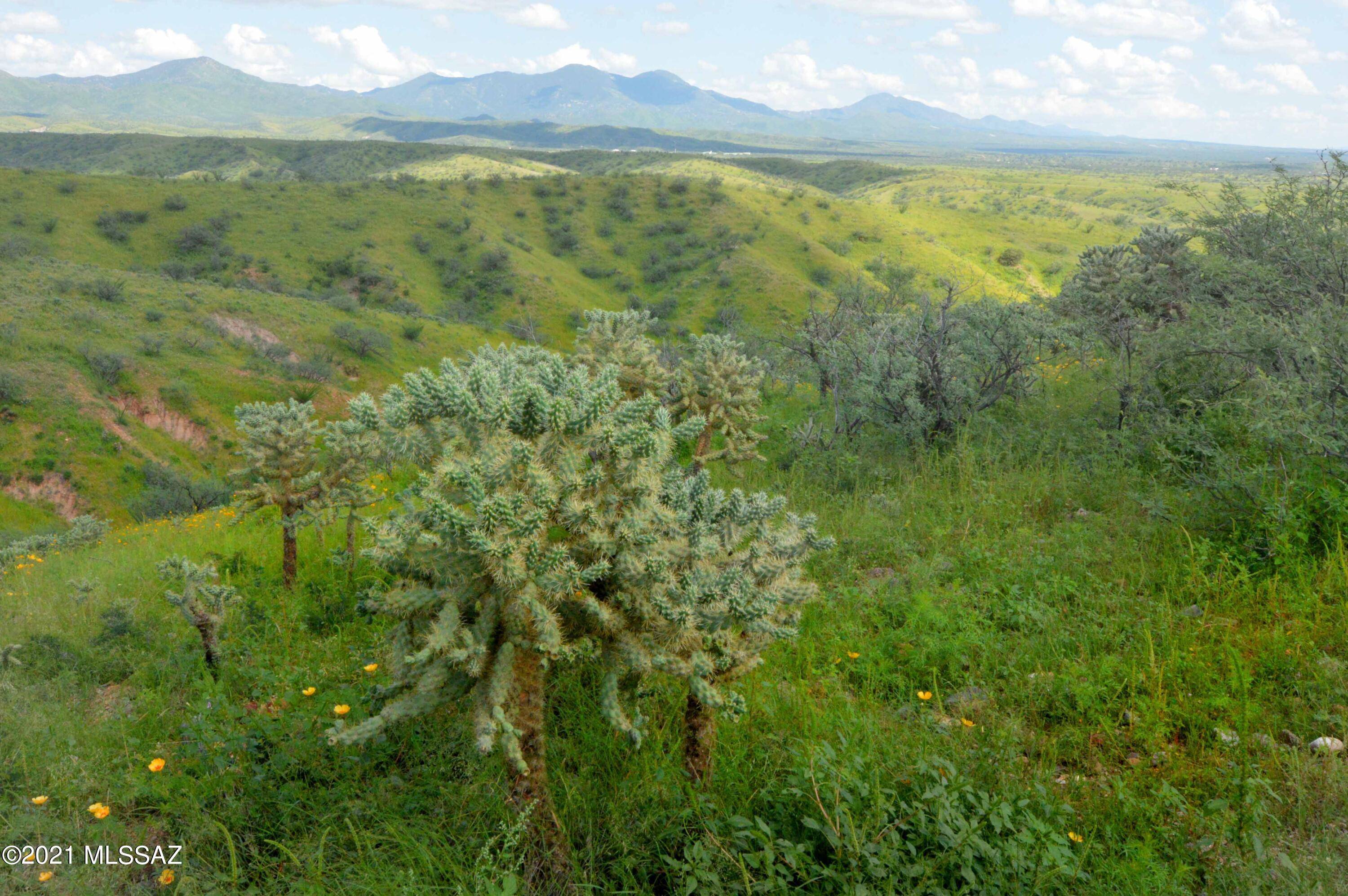 Rio Rico, AZ 85648,TBD Sonoita Creek Ranch Road #86