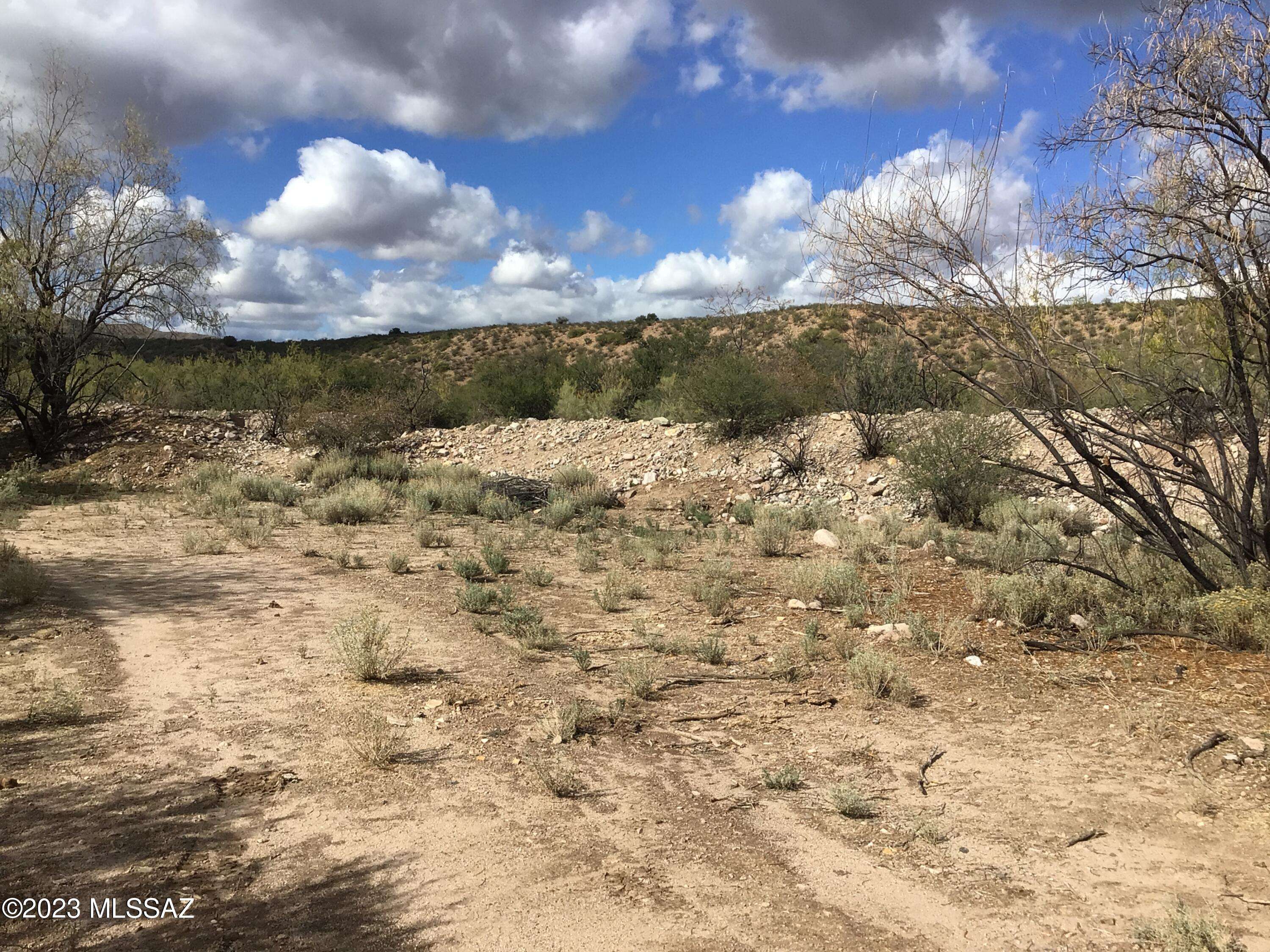 Willcox, AZ 85643,40 ac N Grand Reef Road