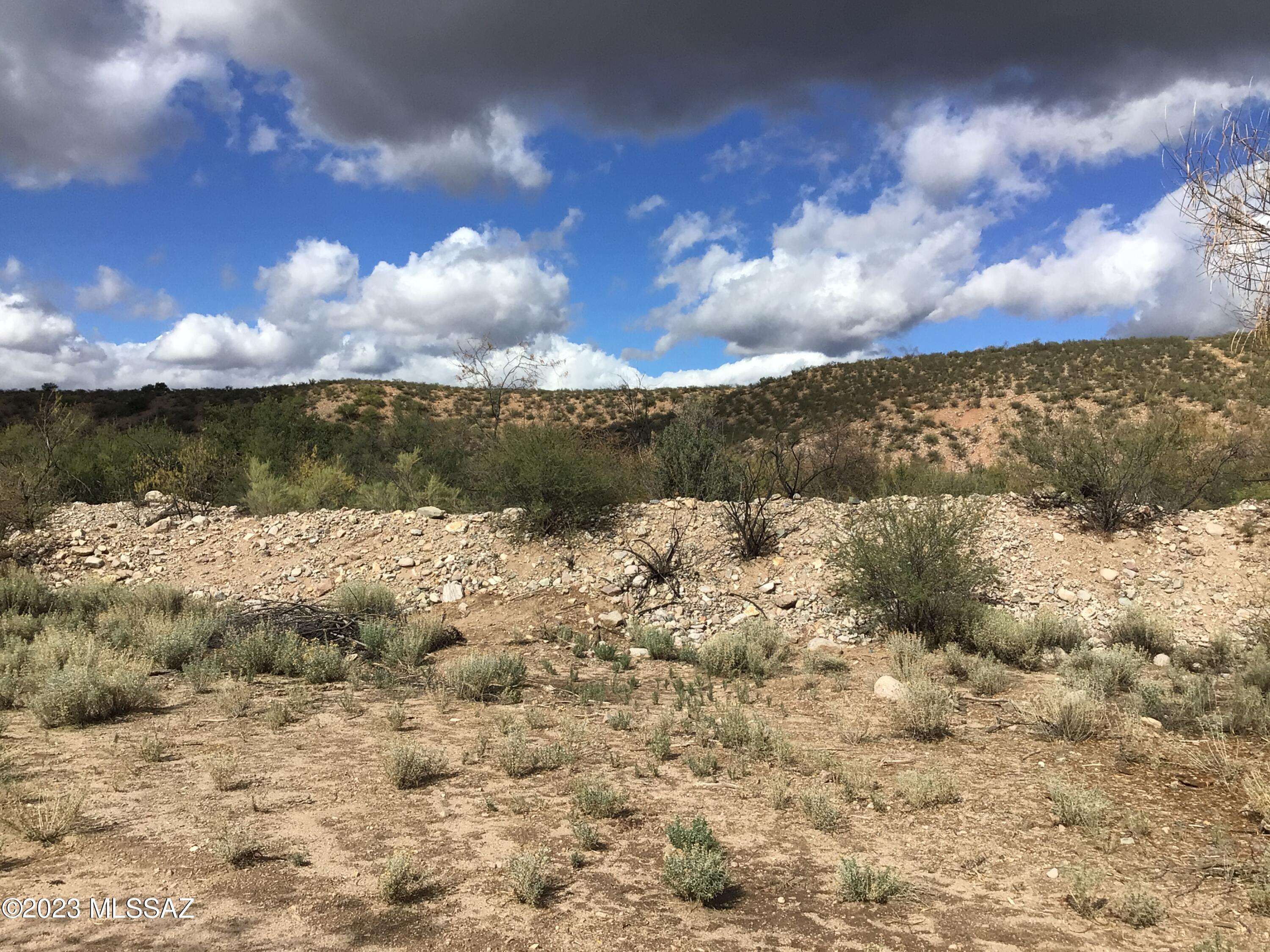 Willcox, AZ 85643,40 ac N Grand Reef Road