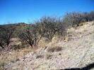 Rio Rico, AZ 85648,1287 Circulo Yerba Buena  #2