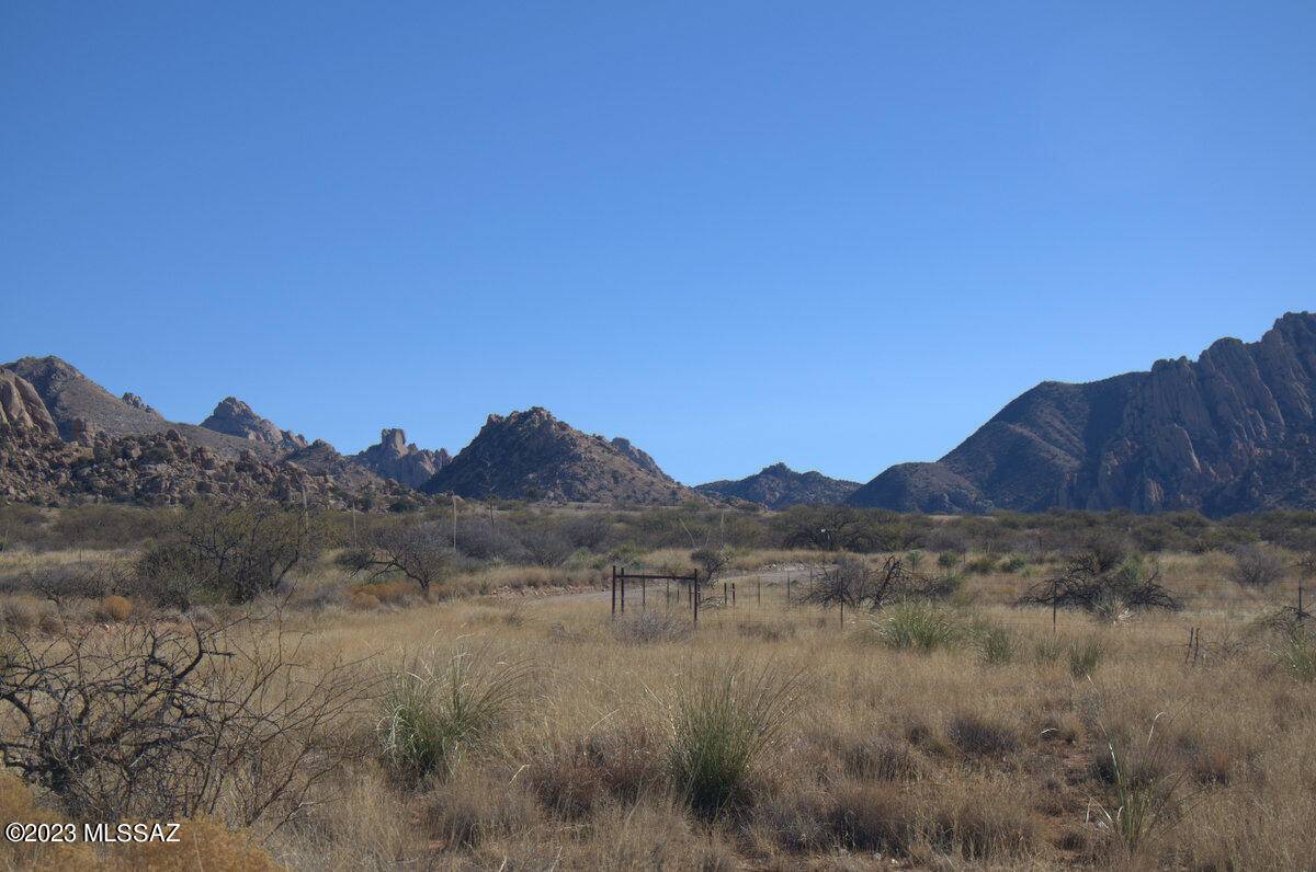 Pearce, AZ 85625,Lot 209 E Diamondback Road  #209