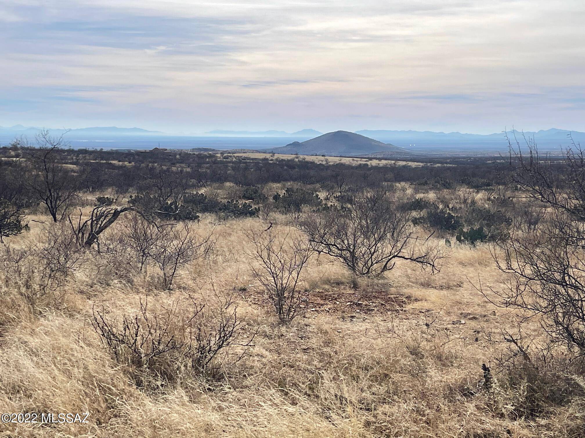 Elfrida, AZ 85610,lot 44 N Double U Ranch  #44