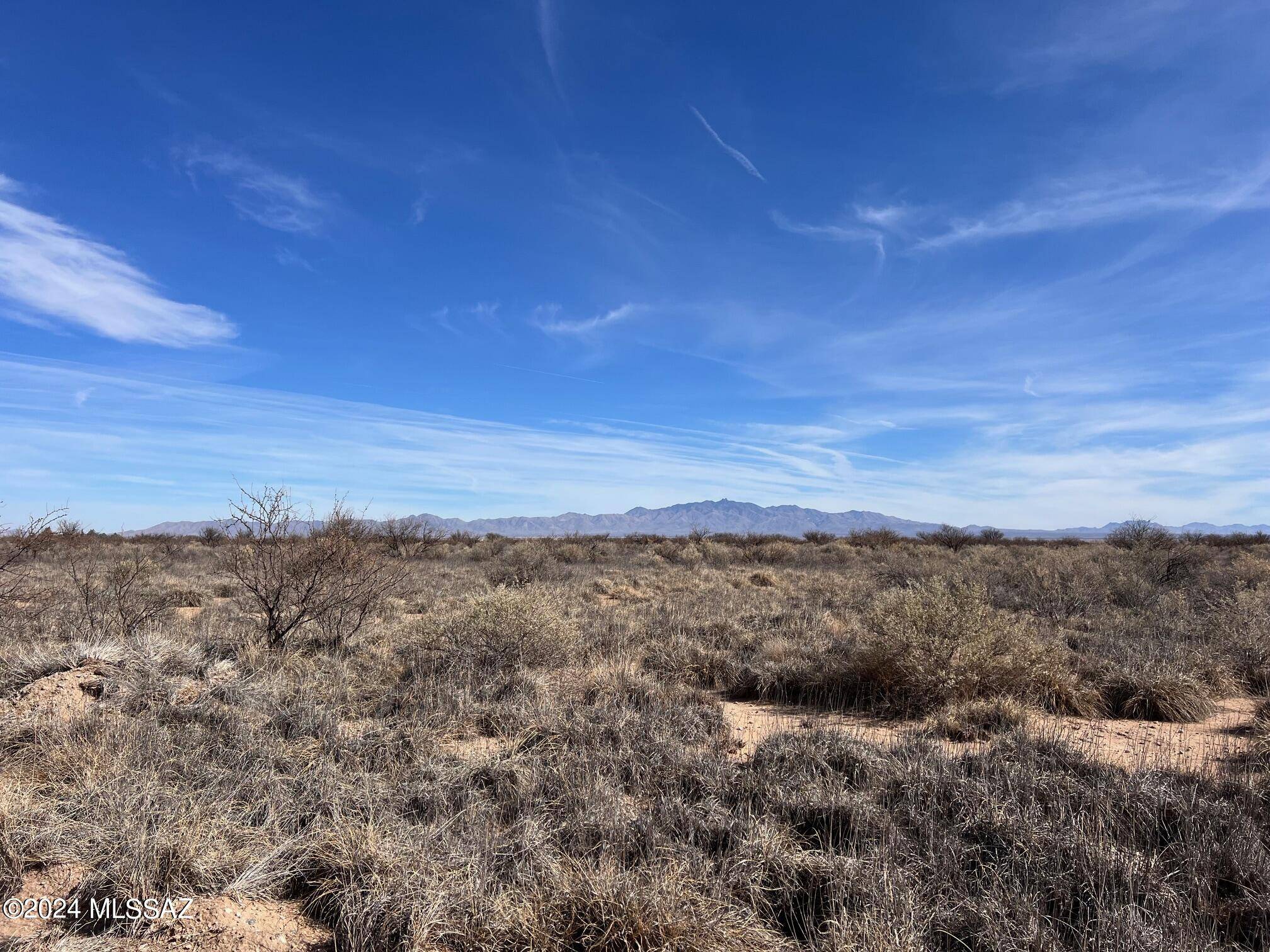 Cochise, AZ 85606,0.39 ac Calle Montana  #24