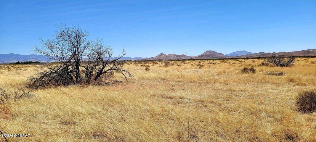 Elfrida, AZ 85610,Lot 3 Highway 181