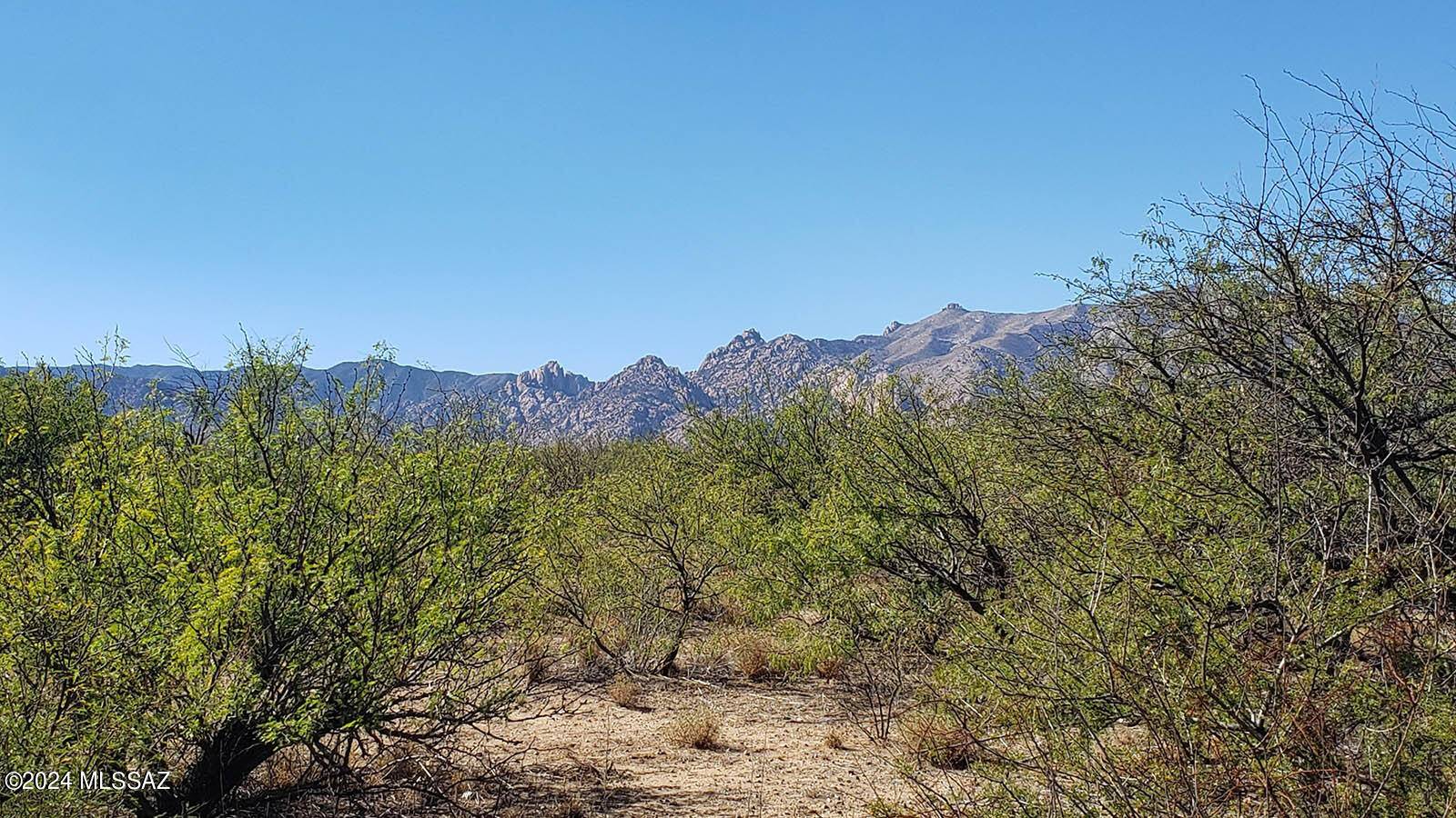 Cochise, AZ 85606,1 Lot W Birch Road #2