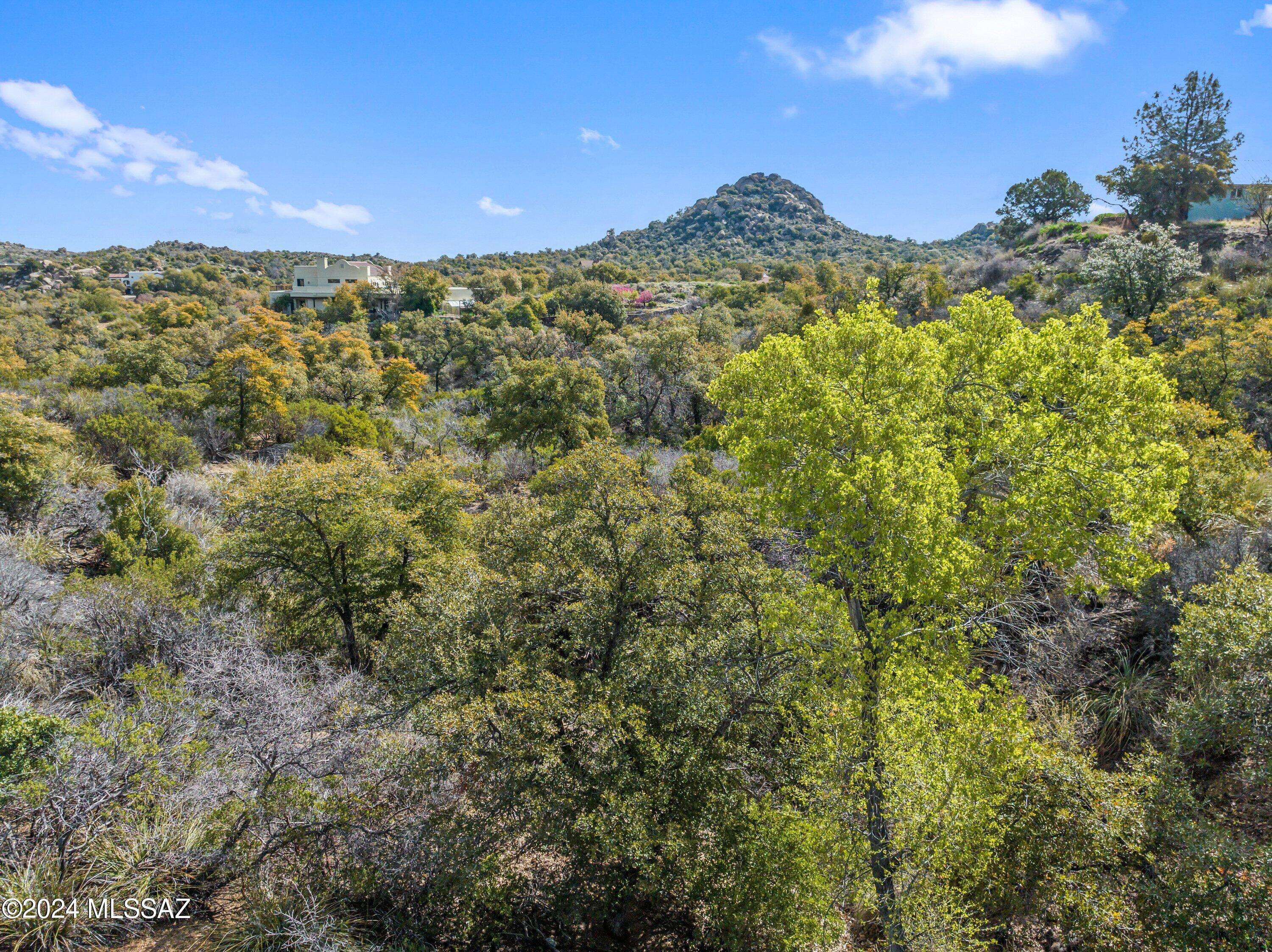 Oracle, AZ 85623,4.72 Acres TBD off Cody Loop