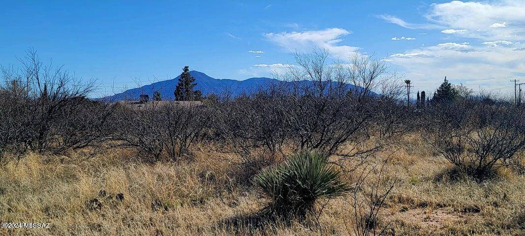 Bisbee, AZ 85603,Lots 33/34 Santa Cruz Drive