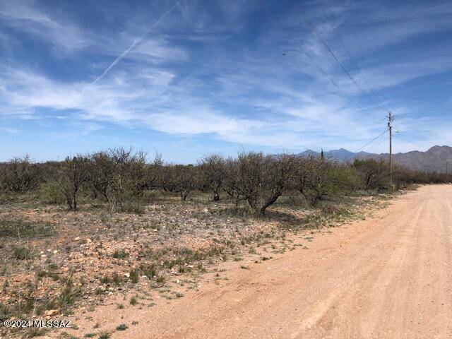 Rio Rico, AZ 85648,738 Camino Arruza  #30