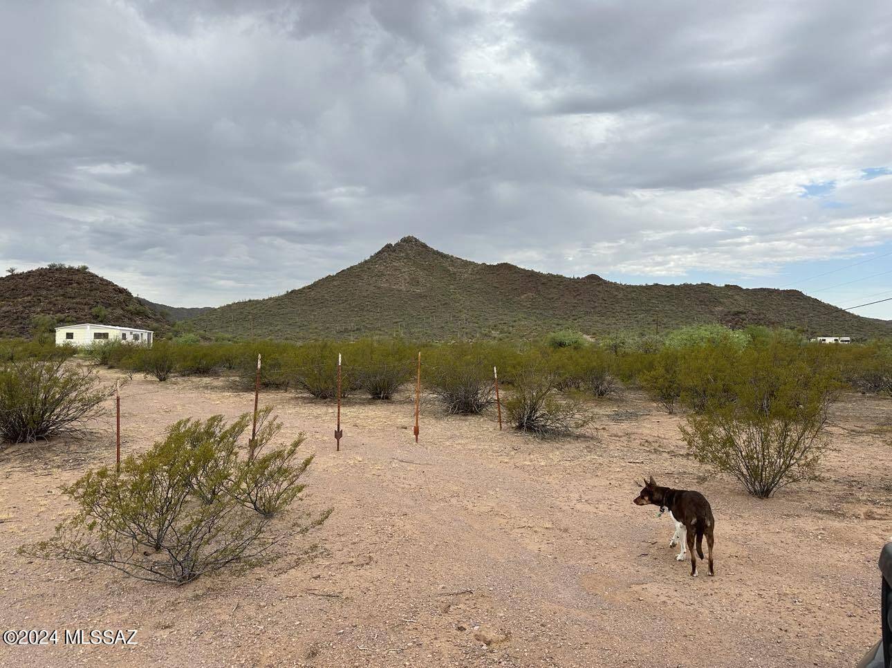 Marana, AZ 85653,Parcel 1 W Tucker Road