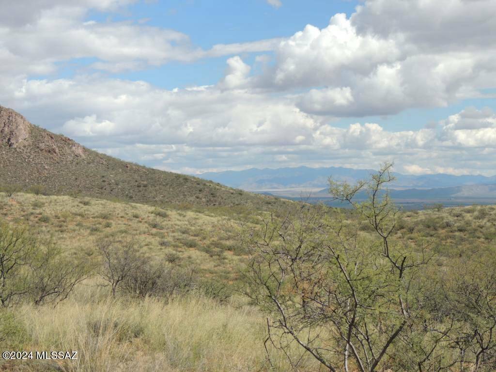 Elfrida, AZ 85610,38 +/- ACRE on Rambling Road #-