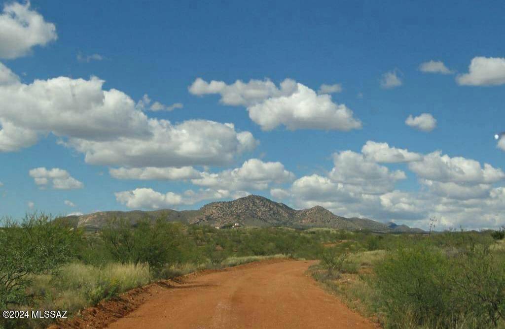 Elfrida, AZ 85610,38 +/- ACRE on Rambling Road #-