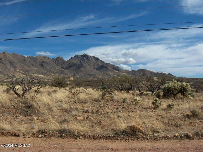 Rio Rico, AZ 85648,114 Cuates Buttes Lane  #81