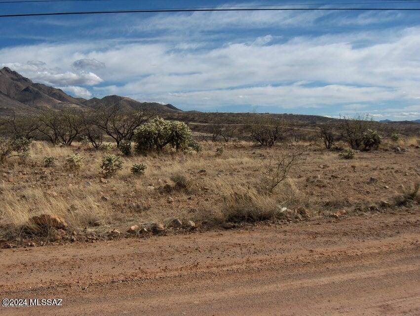 Rio Rico, AZ 85648,114 Cuates Buttes Lane  #81