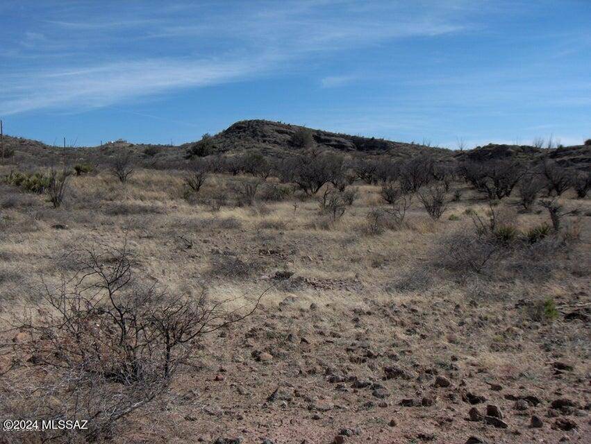 Rio Rico, AZ 85648,114 Cuates Buttes Lane  #81