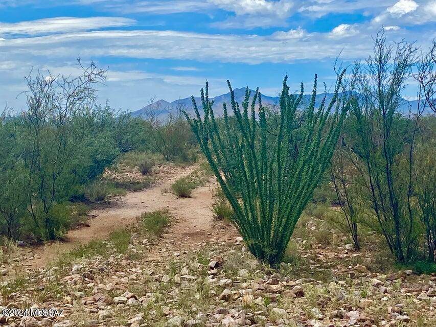 Huachuca City, AZ 85616,TBD Lonely Dove Pl 8.23 Acres