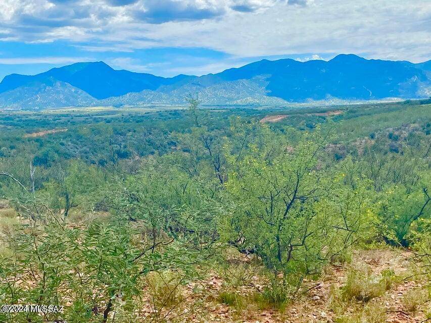 Huachuca City, AZ 85616,TBD Lonely Dove Pl 8.23 Acres