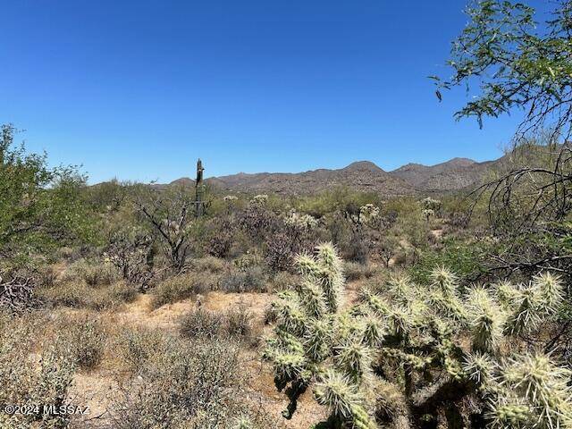 Marana, AZ 85658,4334 W Butterfly Mountain Drive #00008