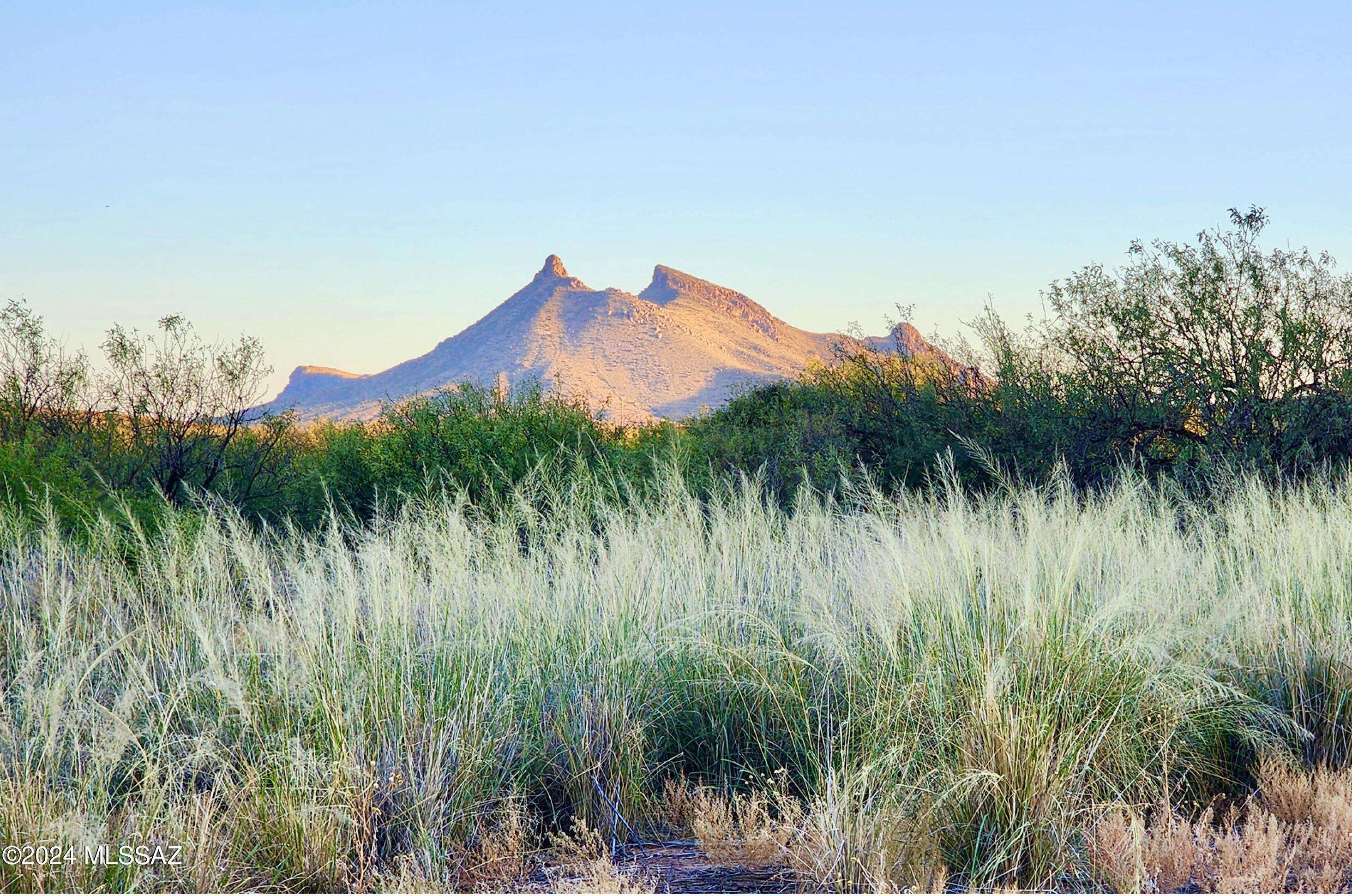 Douglas, AZ 85607,TBD Morning Star Trl 41.95 Acres