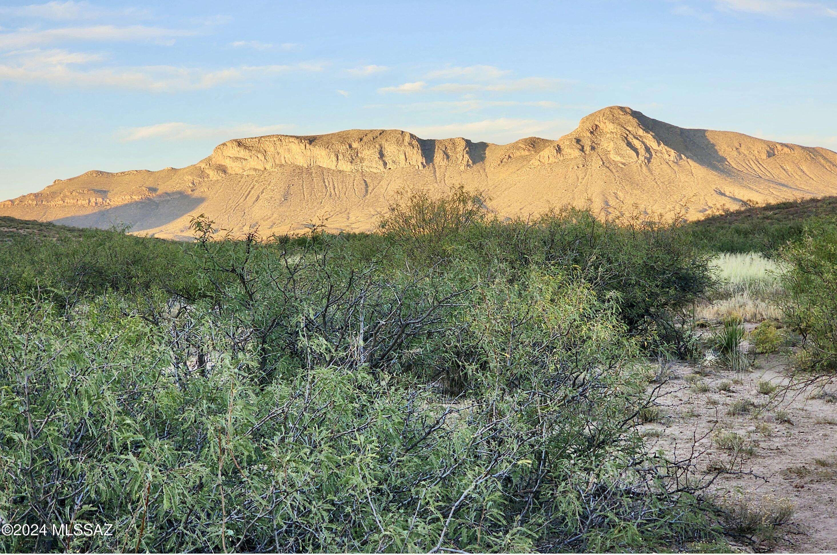 Douglas, AZ 85607,TBD Morning Star Trl 41.95 Acres