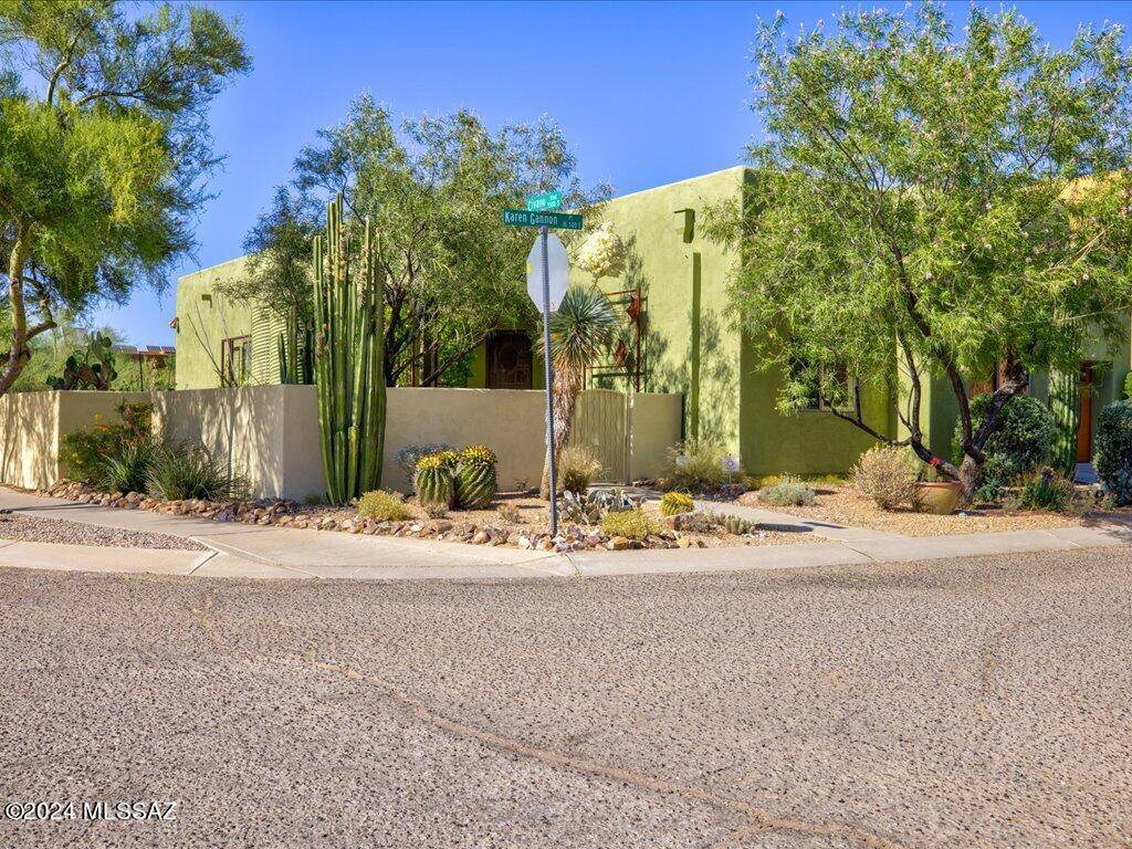 Tucson, AZ 85747,10513 E Karen Gannon Place