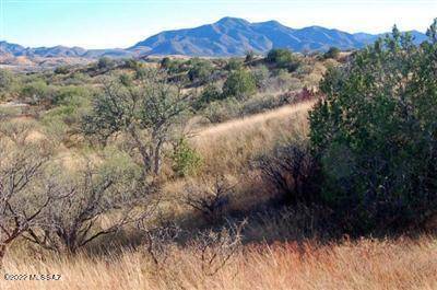 Patagonia, AZ 85624,600 Dropseed Court ##34