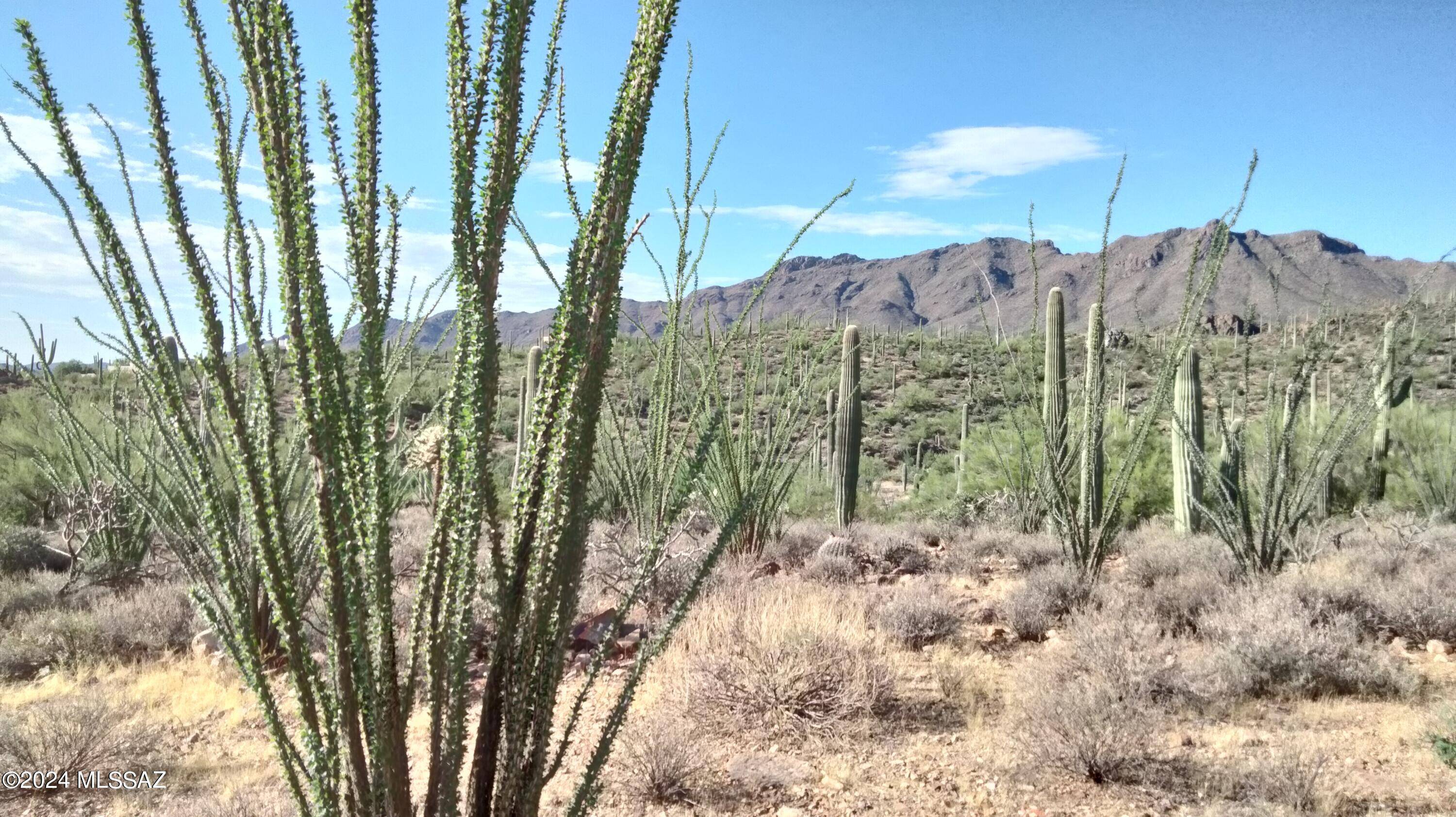 Tucson, AZ 85745,3855 N Broken Springs Trail