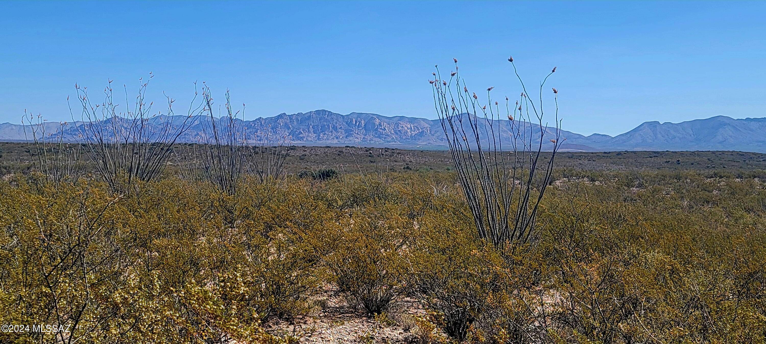 Tombstone, AZ 85638,TBD W Rainbow Road