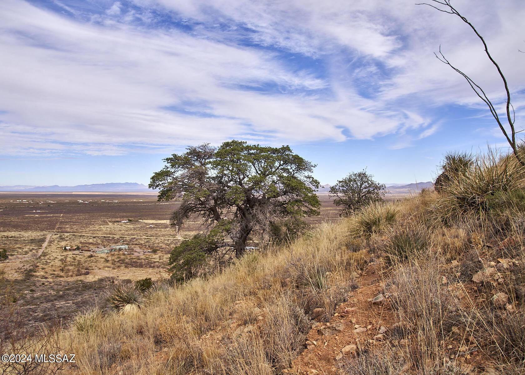 Portal, AZ 85632,TBD W Bo Ma Trail  #180