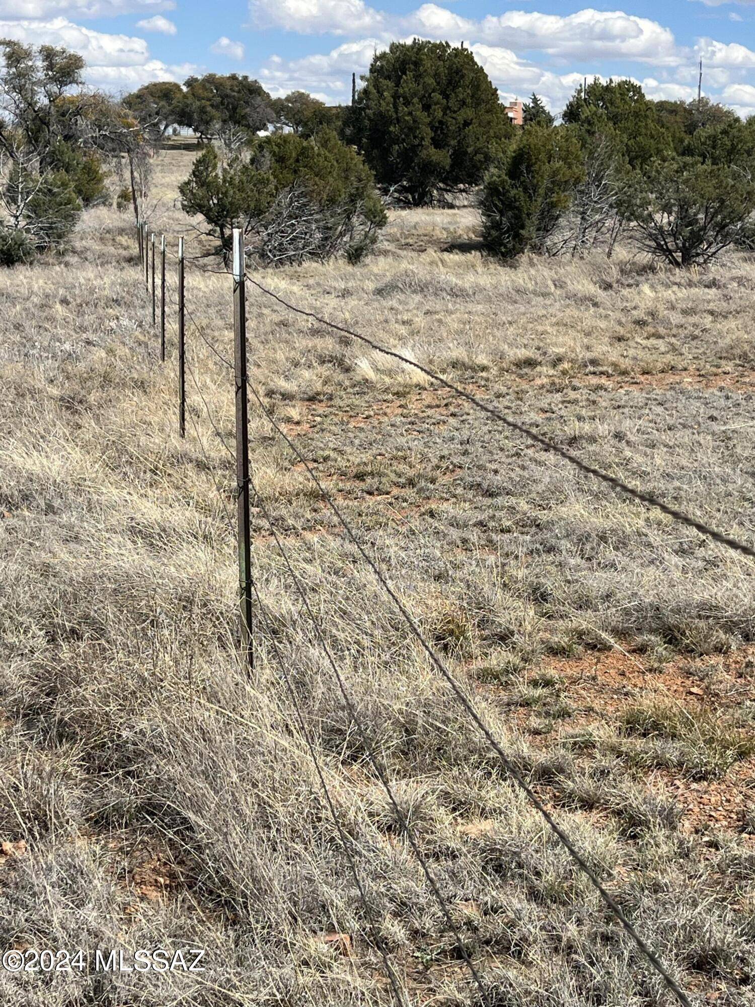 Sonoita, AZ 85637,TBD Terney Lane