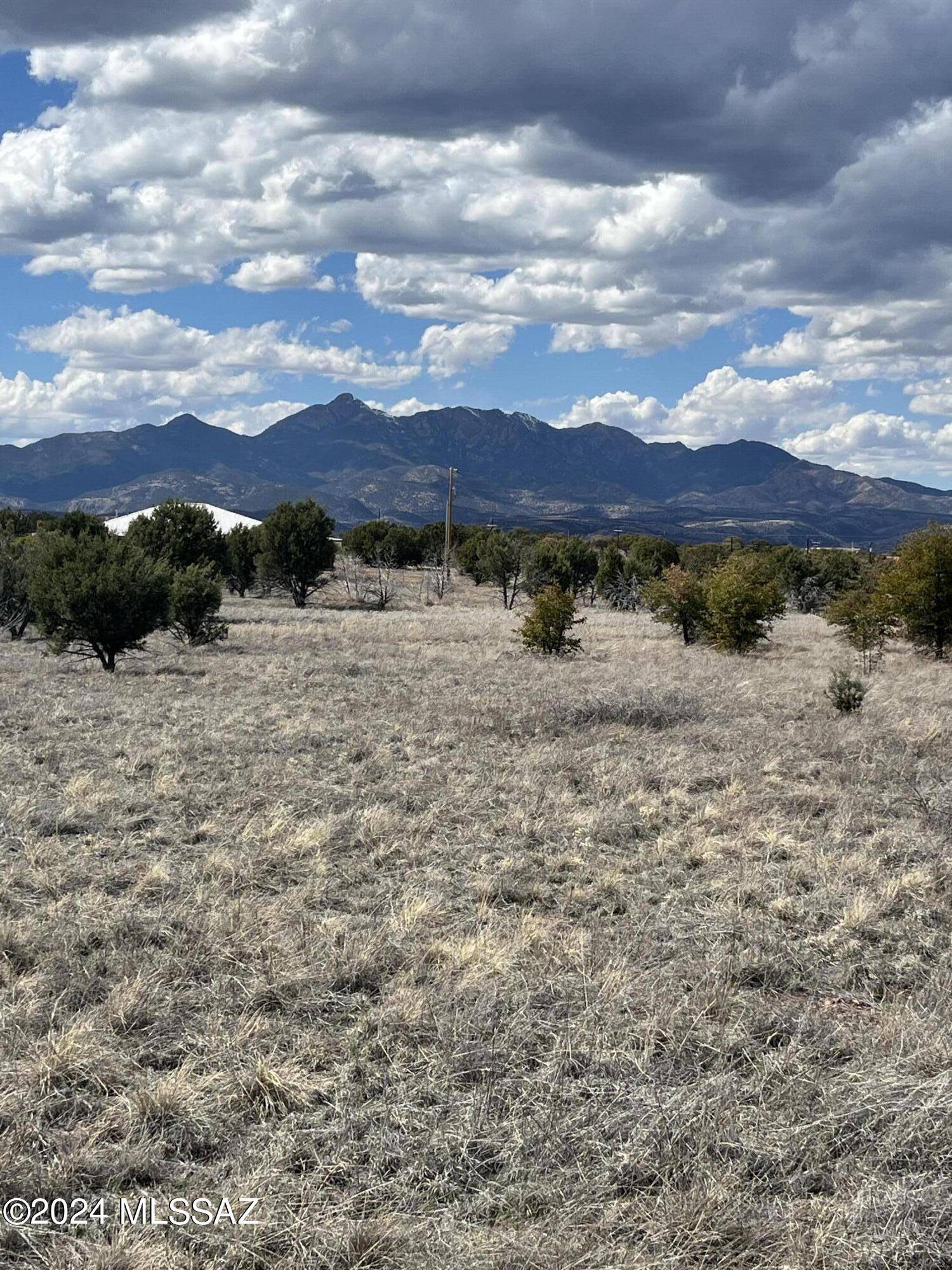 Sonoita, AZ 85637,TBD Terney Lane