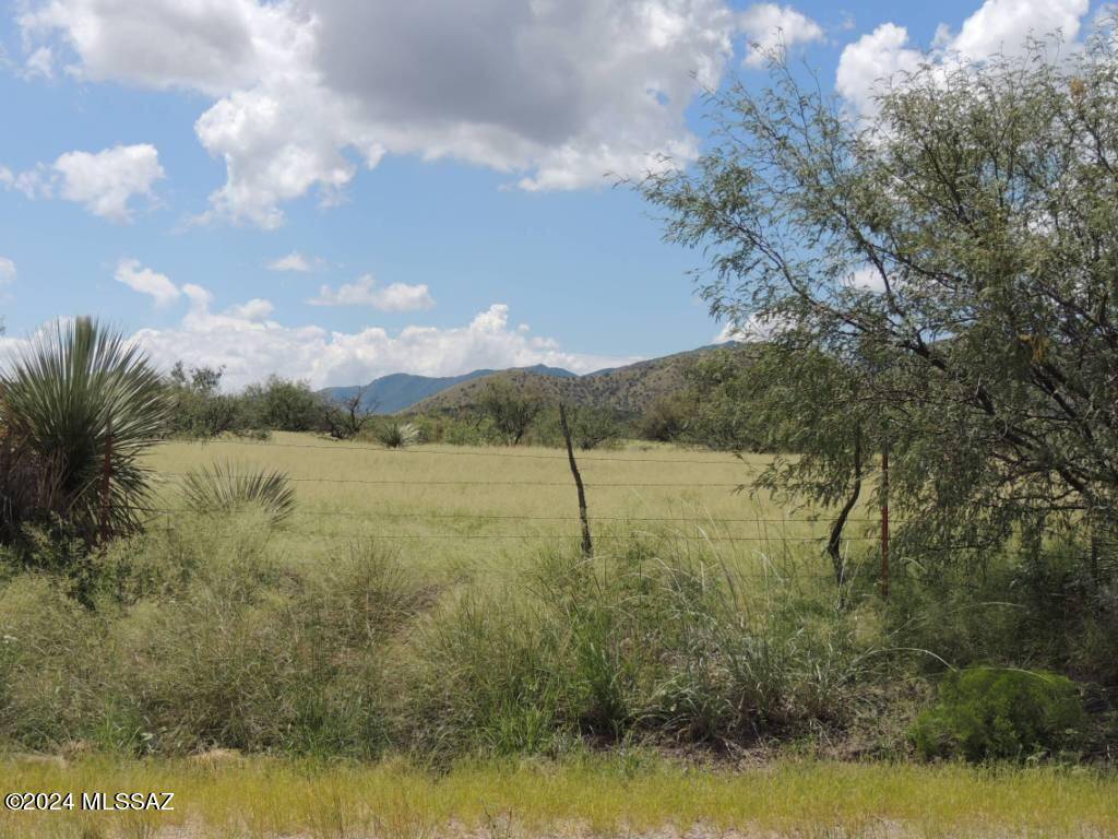 Cochise, AZ 85606,80 AC -Near Ironwood & Stronghold Road #-