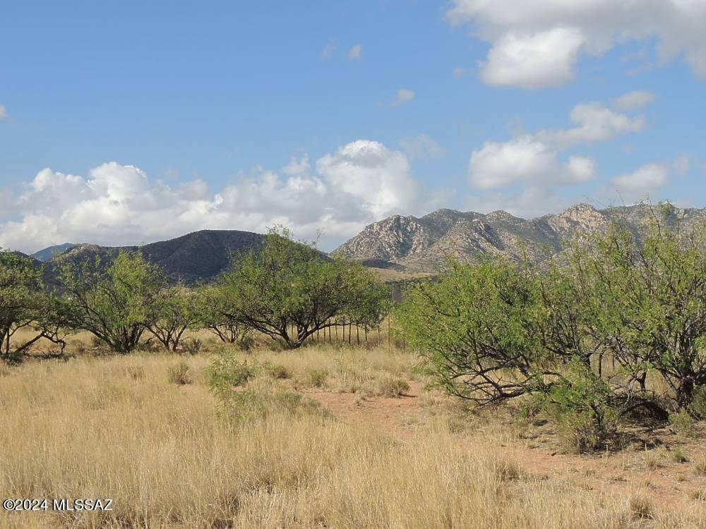 Cochise, AZ 85606,80 AC -Near Ironwood & Stronghold Road #-