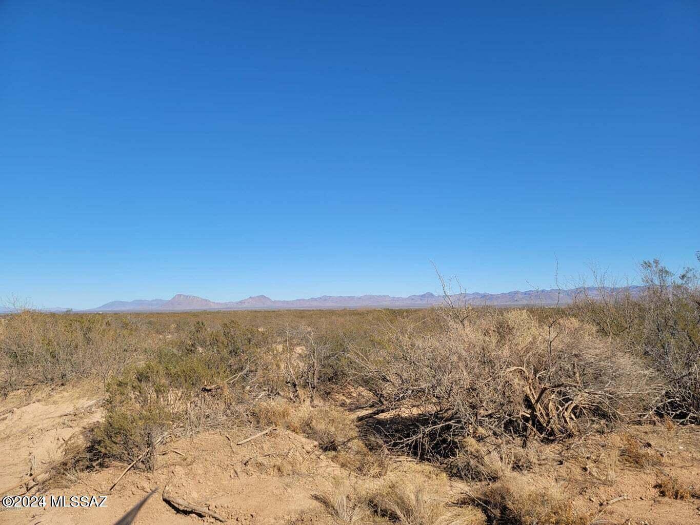 San Simon, AZ 85632,80 Acres on W Sellers Ranch Rd