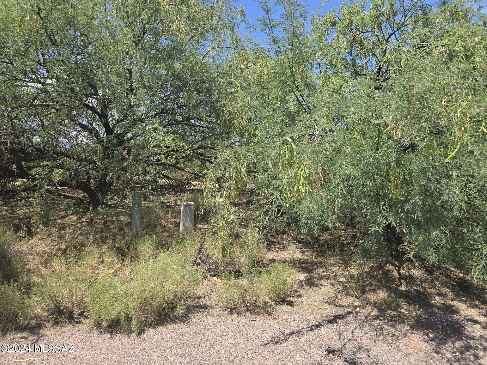 Benson, AZ 85602,TBD W Foothill