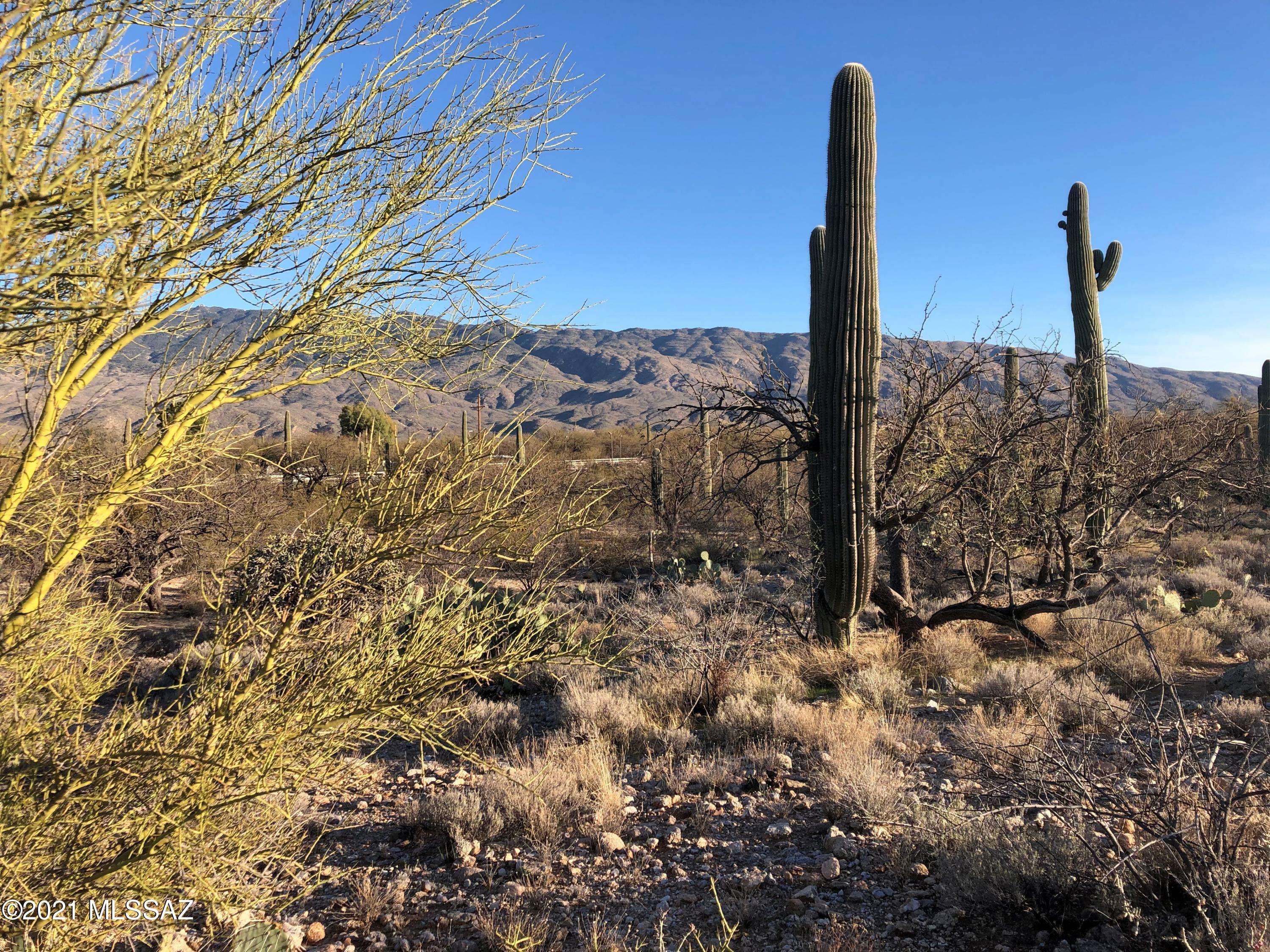 Tucson, AZ 85749,1974 N Wentworth Road
