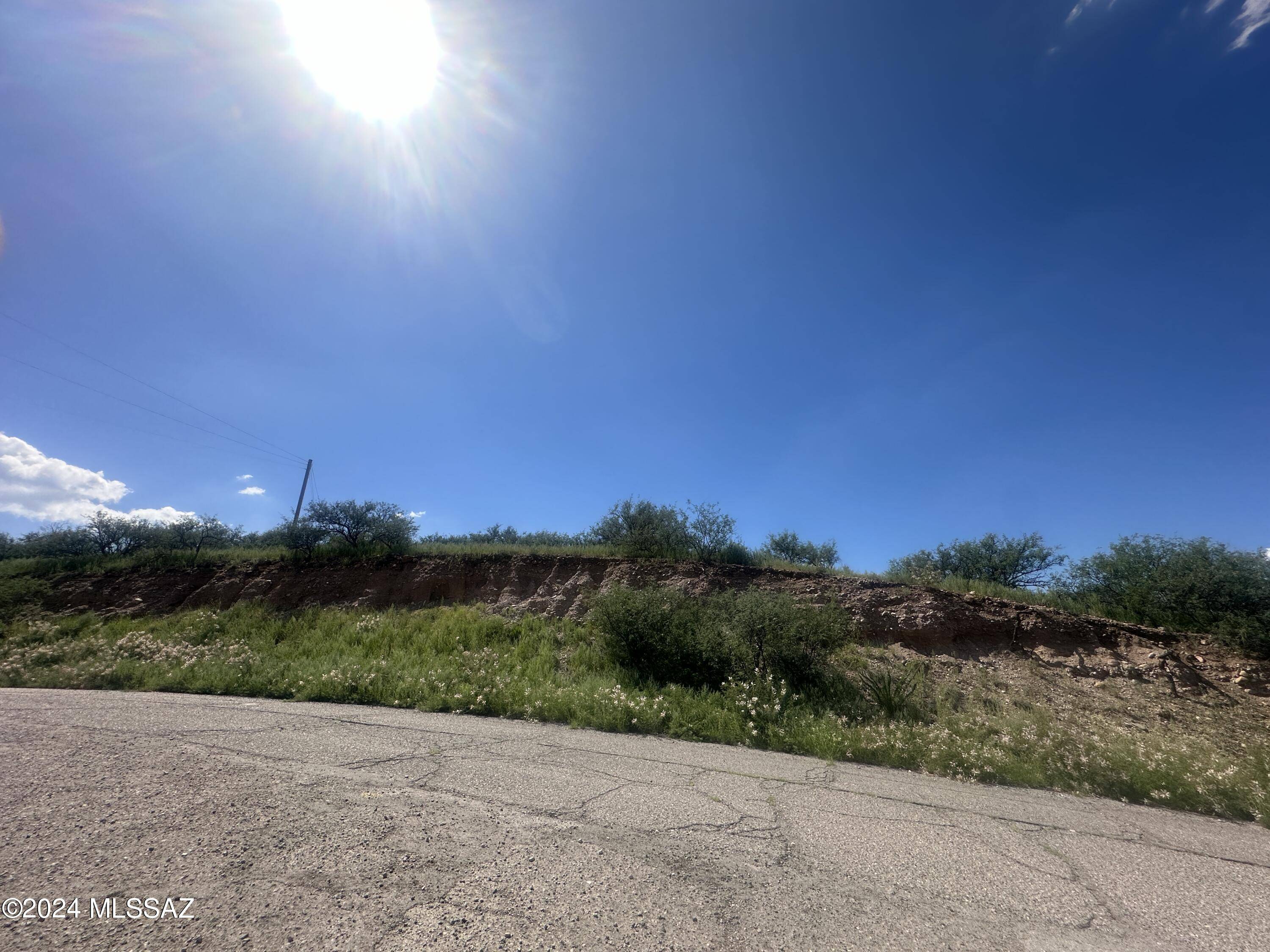 Rio Rico, AZ 85648,1161 Corrida De Toros